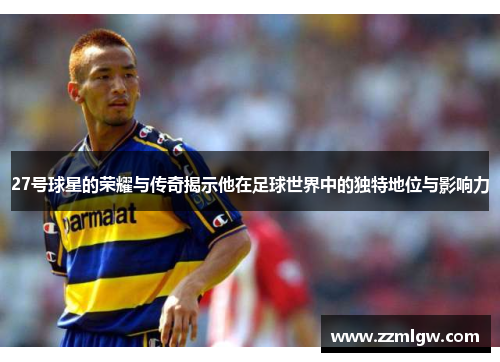 27号球星的荣耀与传奇揭示他在足球世界中的独特地位与影响力