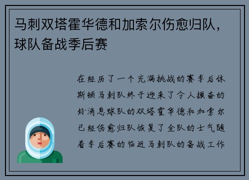 马刺双塔霍华德和加索尔伤愈归队，球队备战季后赛